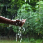 Magazynowanie wody deszczowej w gospodarstwie rolnym – 5 powodów dlaczego warto
