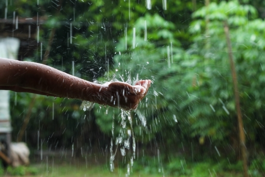 Magazynowanie wody deszczowej – dlaczego warto?